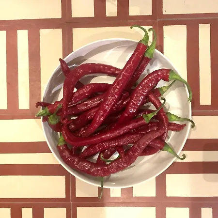 Lanzaroco, Tu Casa En La Vera * Valverde de la Vera