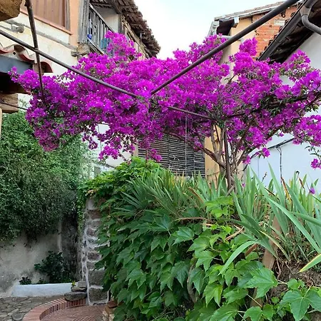 Lanzaroco, Tu Casa En La Vera *