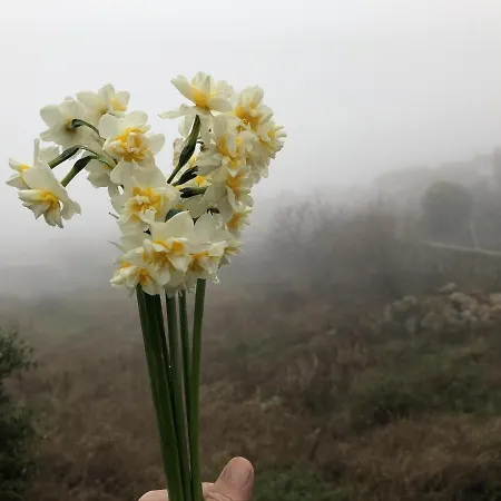 Lanzaroco, Tu Casa En La Vera Dom wakacyjny