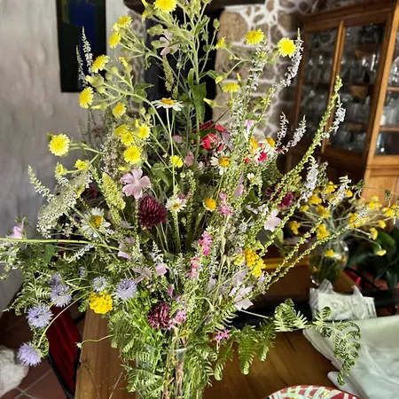 Lanzaroco, Tu Casa En La Vera Dom wakacyjny Valverde de la Vera