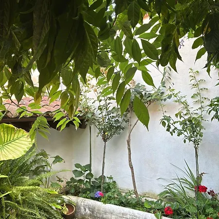 Dom wakacyjny Lanzaroco, Tu Casa En La Vera Valverde de la Vera