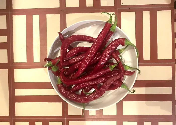 Lanzaroco, Tu Casa En La Vera * Valverde de la Vera