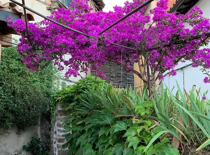 Lanzaroco, Tu Casa En La Vera *