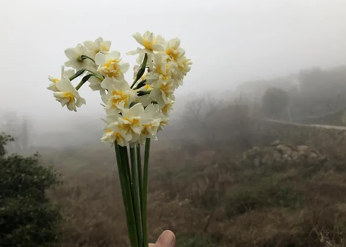 Lanzaroco, Tu Casa En La Vera Holiday home