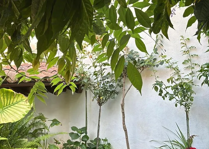 Casa vacanze Lanzaroco, Tu Casa En La Vera Valverde de la Vera